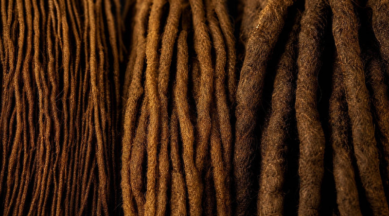 Locks, locs ou dreadlocks : quelle différence et pourquoi ça compte ?
